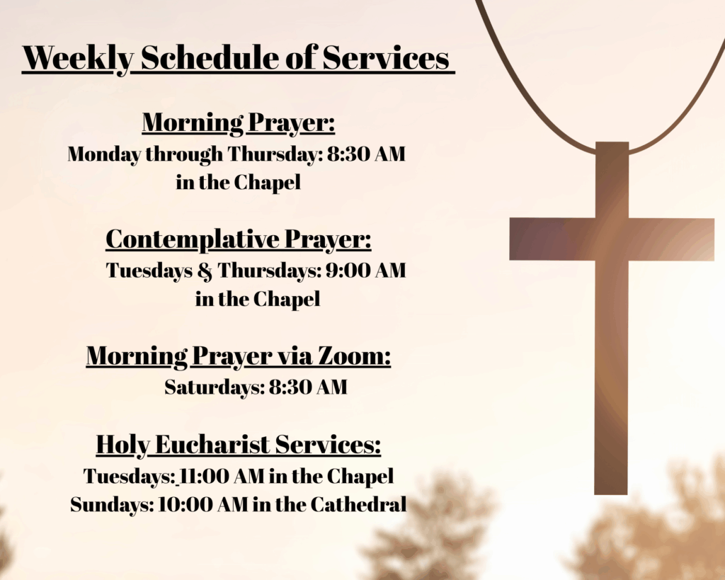weekly services (1)